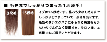毛先までしっかりつまった1.5段毛！イブは1.5段毛です。絡みも少なく毛先までしっかりとつまっていて、長さを出せます。段数の多いエクステにみられる廃棄毛も少ないのでムダなく使用でき、サロン様、お客様 共にご満足いただけます。